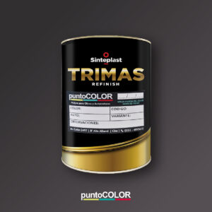 Pintura Color Bicapa 2,5 lt